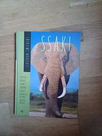 Książka używana Ssaki - leksykon zwierząt