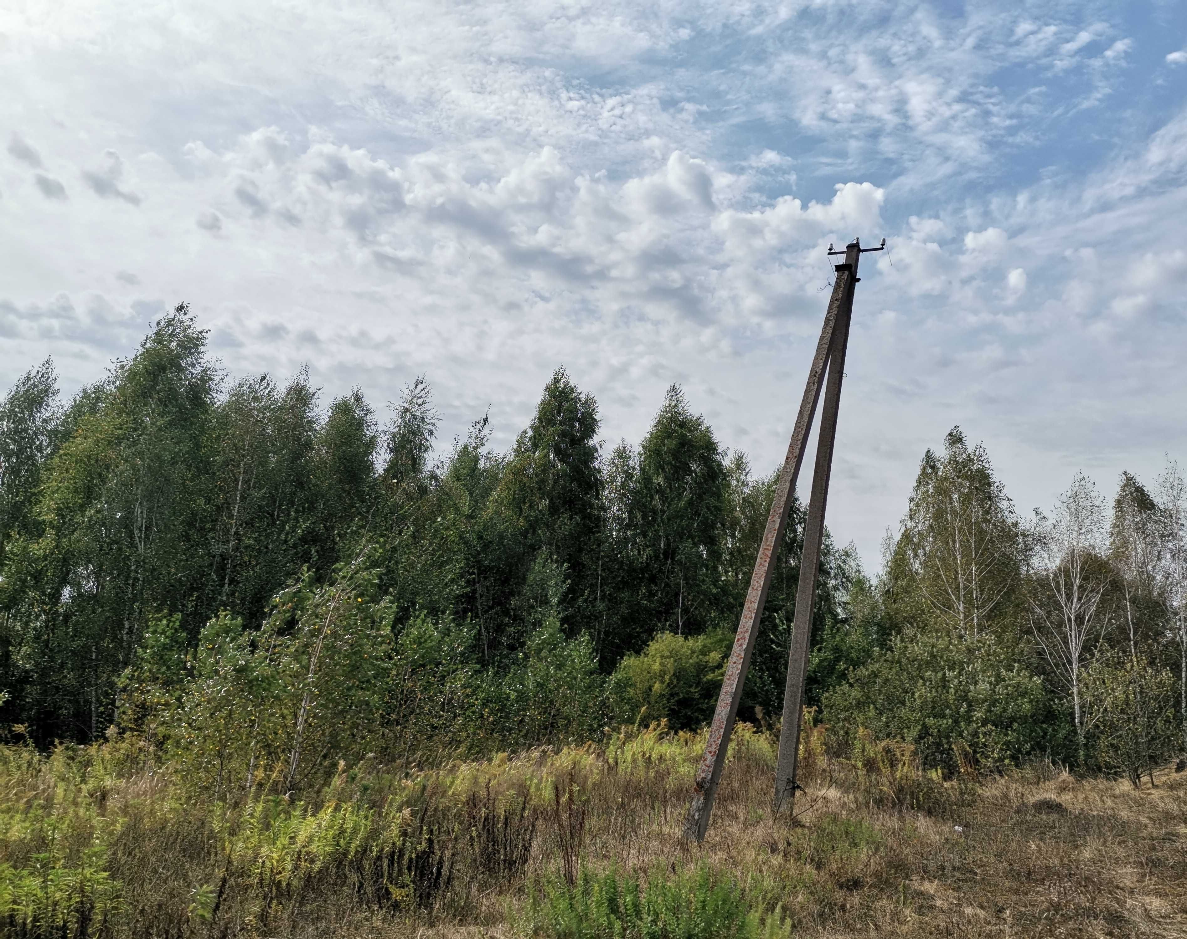 Продам лес под заготовку на дрова, лесоматериалы