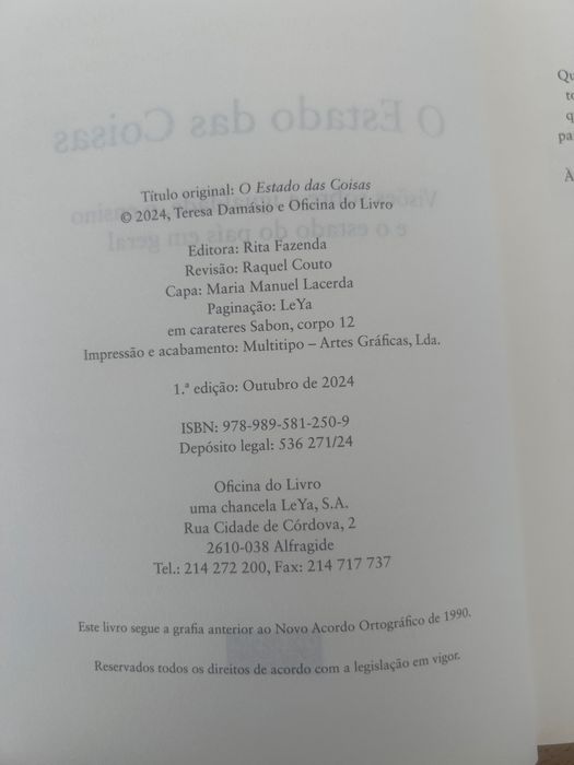 O Estado das Coisas - Teresa Damásio