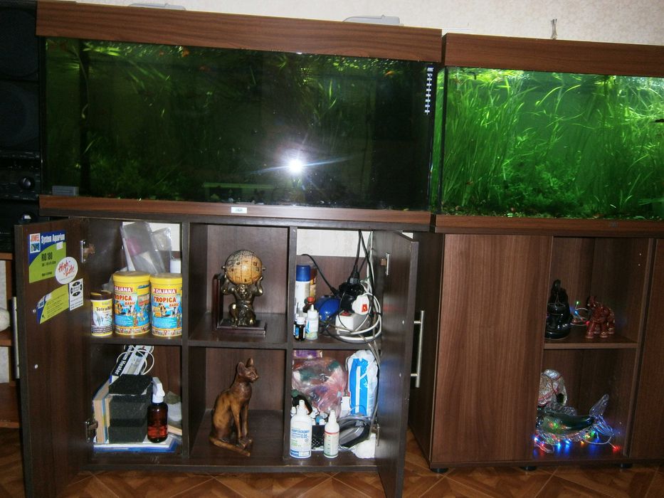 Аквариум juwel Германия с тумбой 180 л.