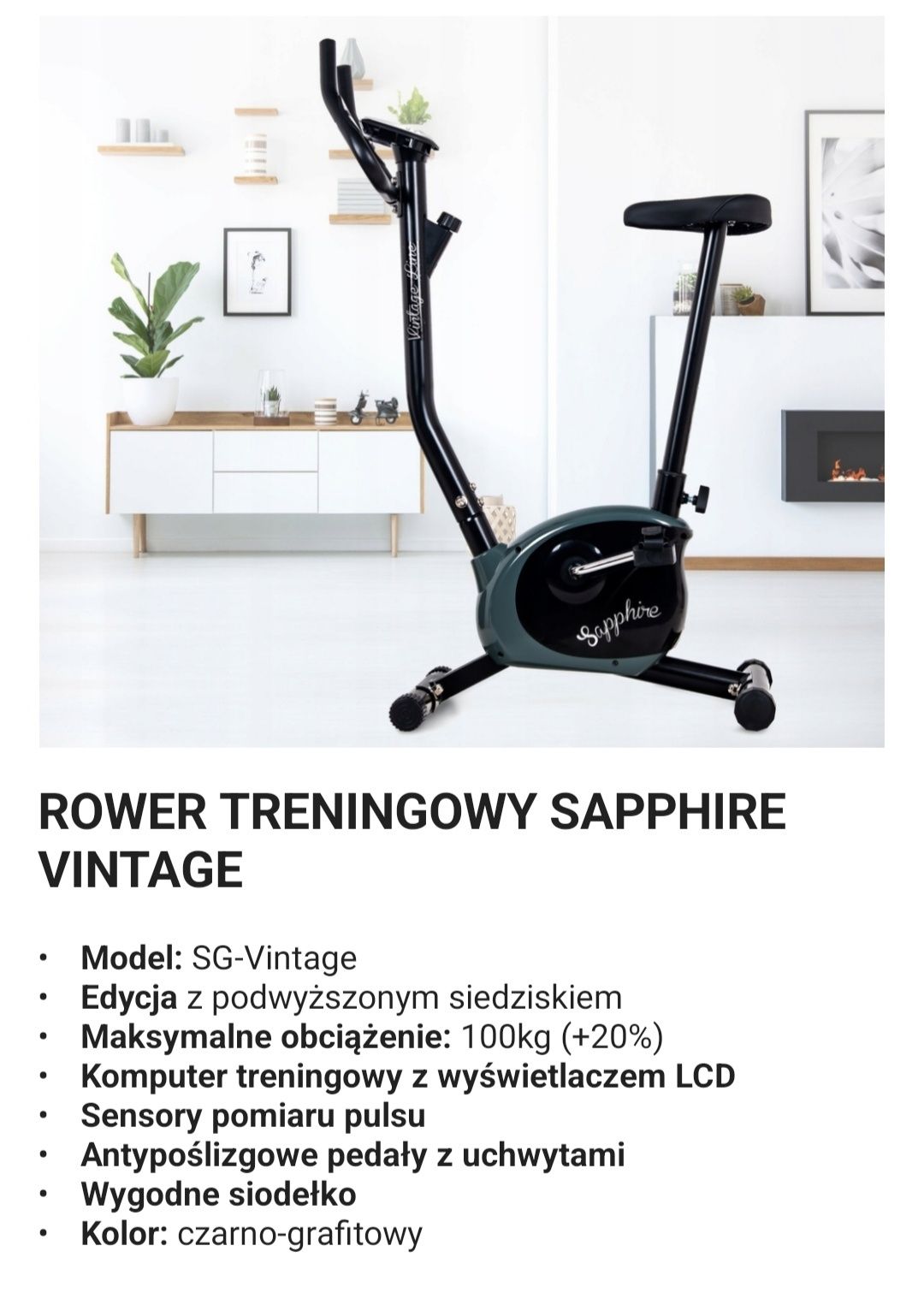 Rower stacjonarny Vintage rowerek treningowy