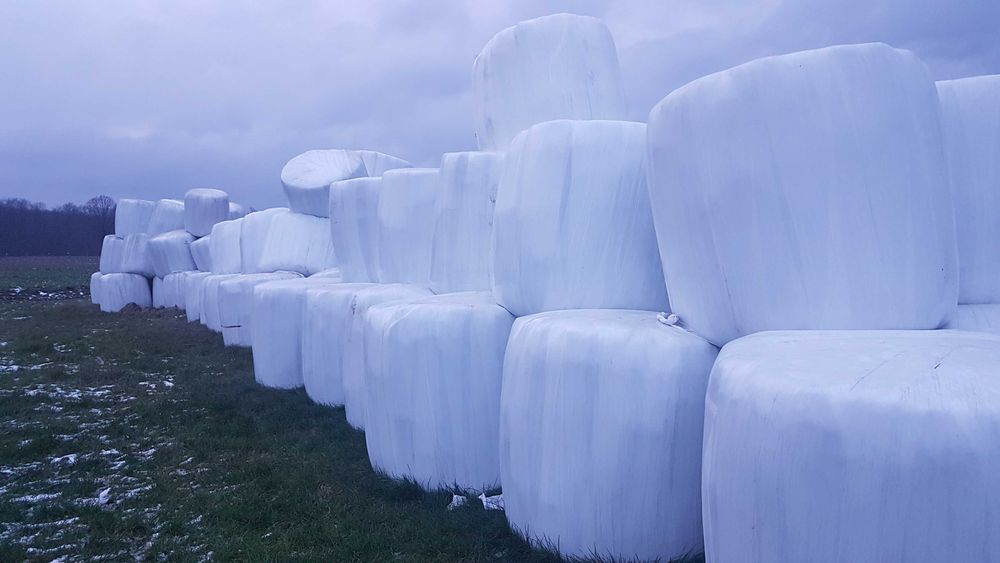 Siano w balotach sianokiszonka dla koni 2025