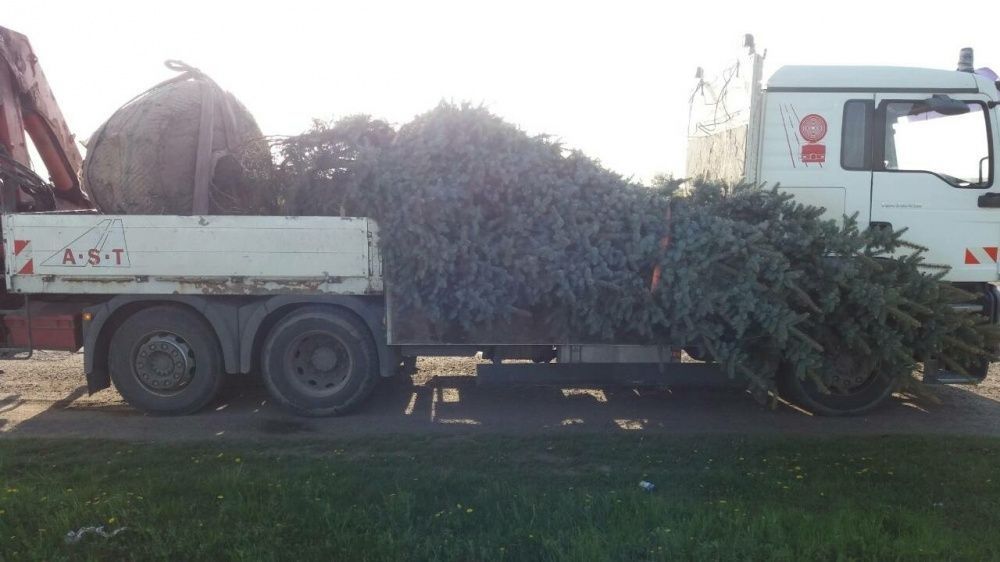 Послуги Маніпулятор по Житомиру,Попельня,Андрушівка,Чуднів,Любар.