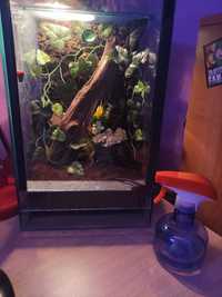 Terrarium 50 x 50 x 400 z wyposażeniem dla gada