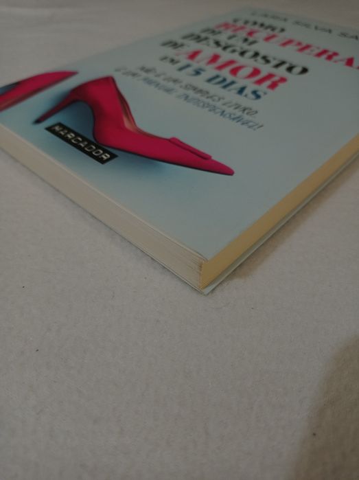 Como recuperar de um desgosto de amor em 15 dias - Lara Silva Santos