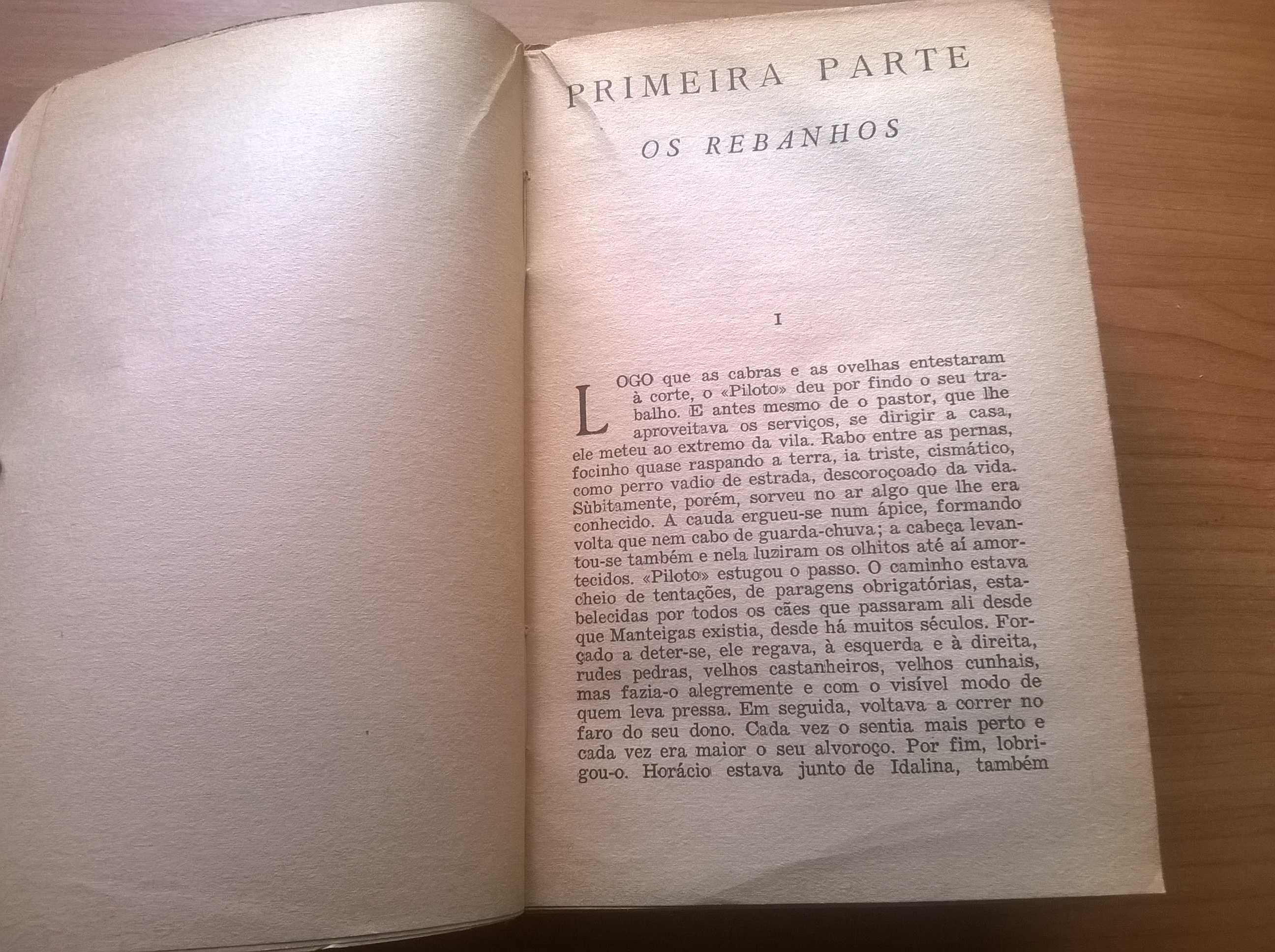 A Lã e a Neve - Ferreira de Castro