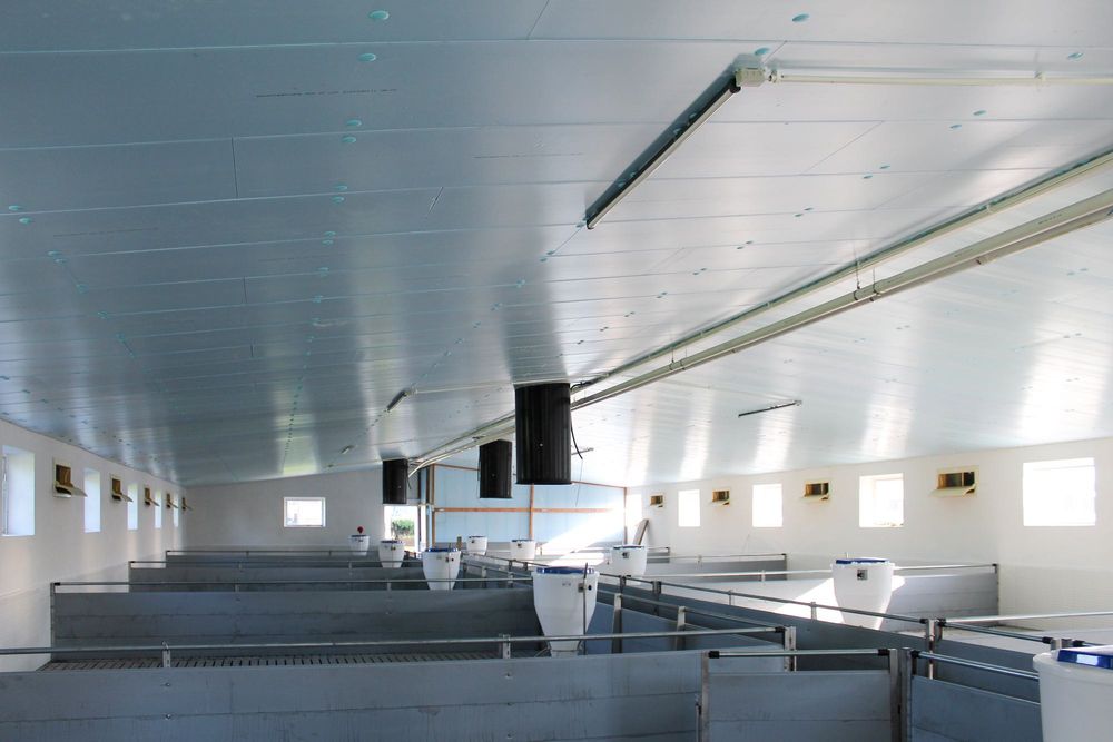 Sufit Strop Ściany do Obory Chlewni Kurnika Tuczarni Styrodur XPS AGRO