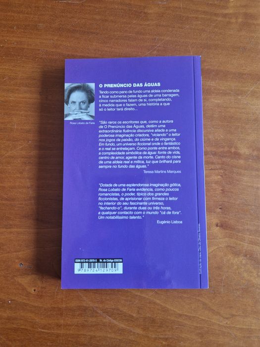 Romance "O Prenúncio das Águas", de Rosa Lobato Faria