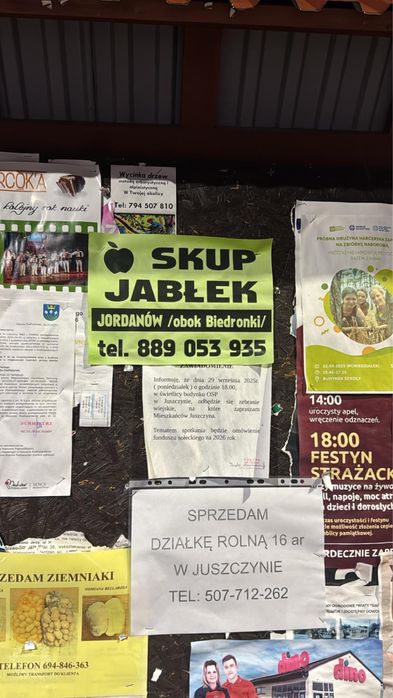 Skrzyniopalety skrzynie na owoce i warzywa