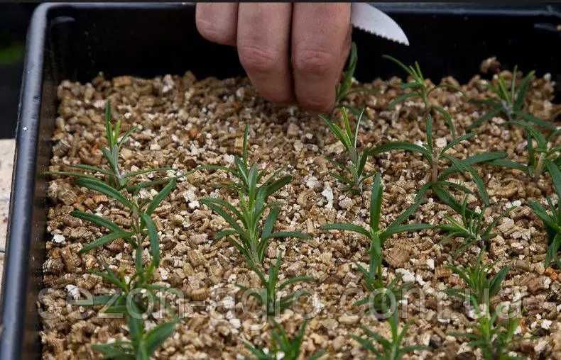 Вермикуліт спучений Fine, фракція 2 мм, мішок 80 л