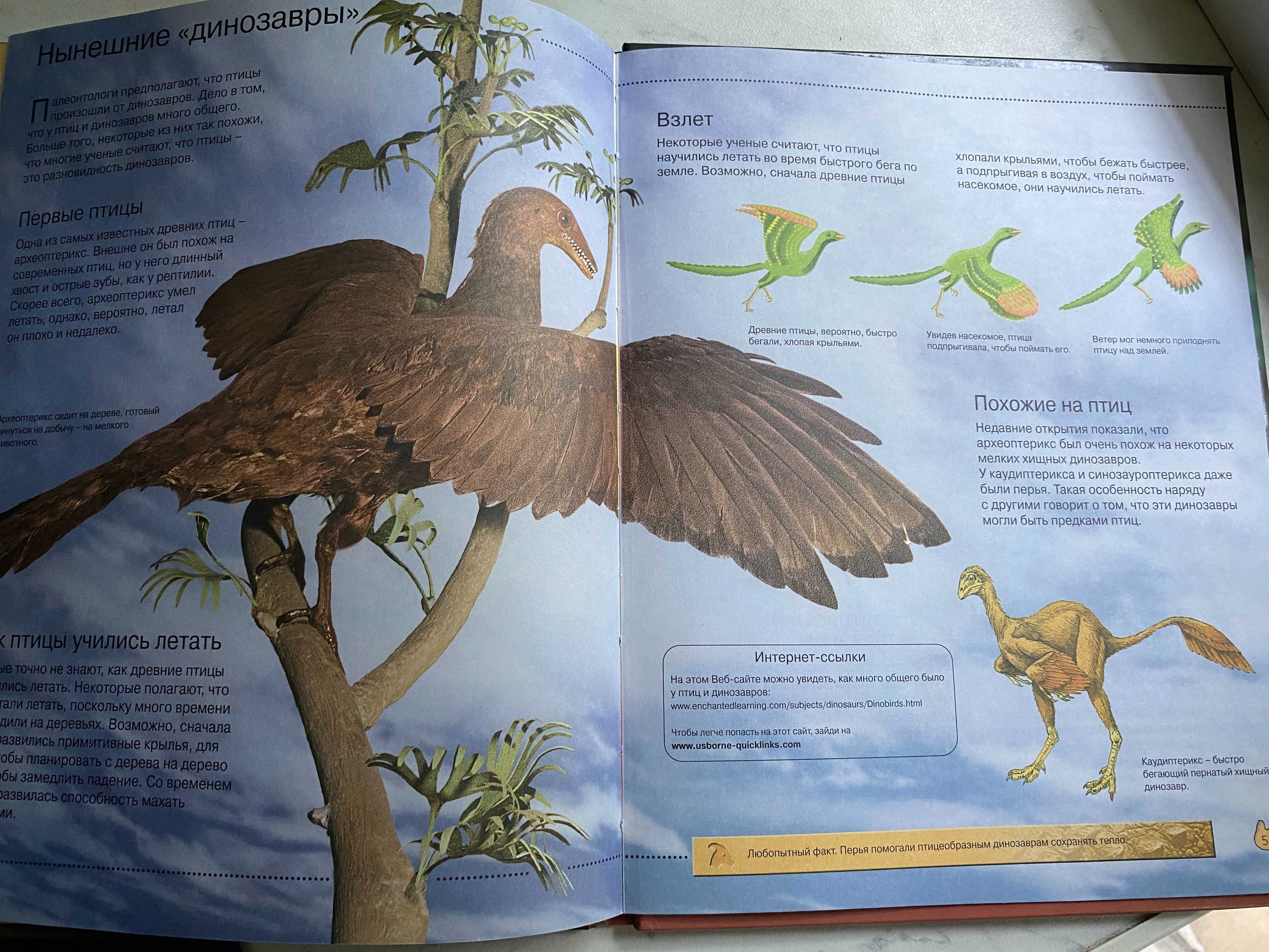 Познавательные иллюстрированные детские книги Большой формат