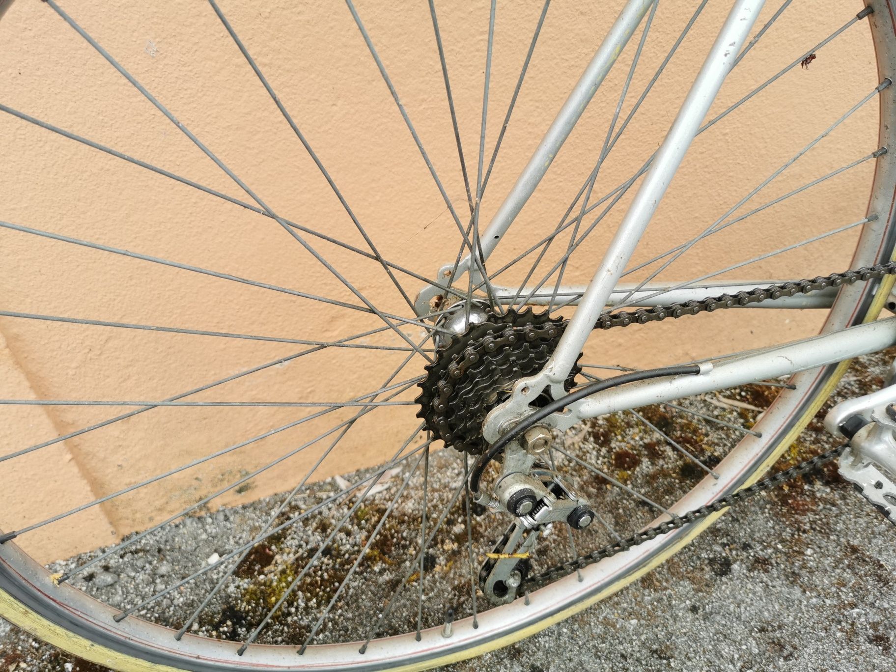 Bicicleta Vintage