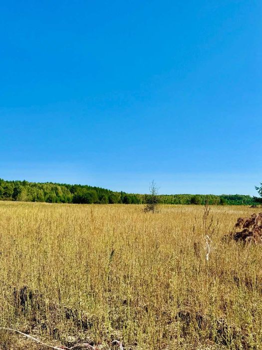 Земельна ділянка біля ЛІСУ! с. Рижики, Хмільницька с.р A11