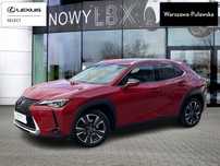 Lexus UX UX 200 GPF Business Edition 2WD