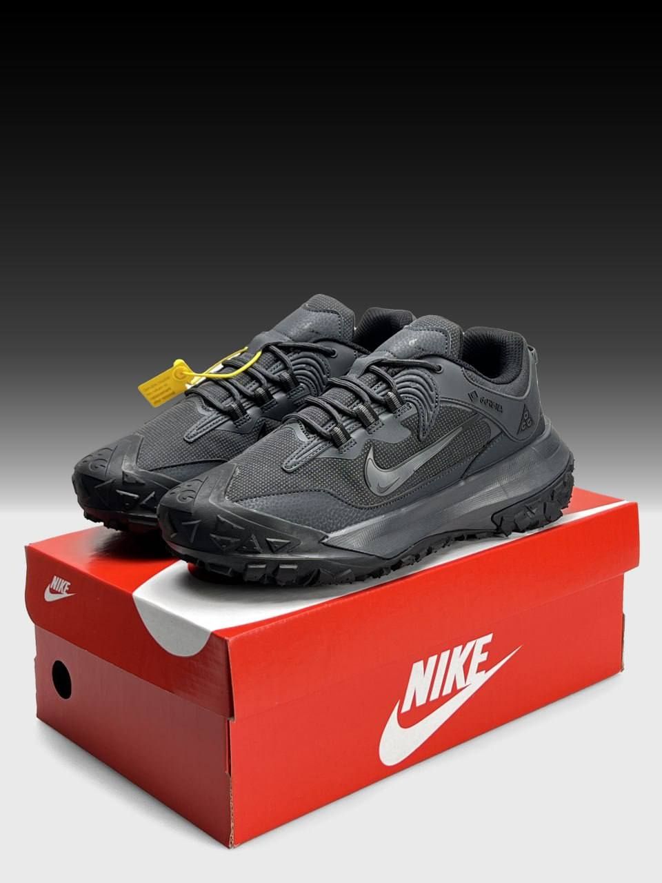 Повсякдені Чоловічі Зимові кросівки Nike ACG Mountain Fly 2 Gore-Tex