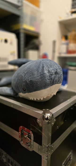 Tubarão peluche grande