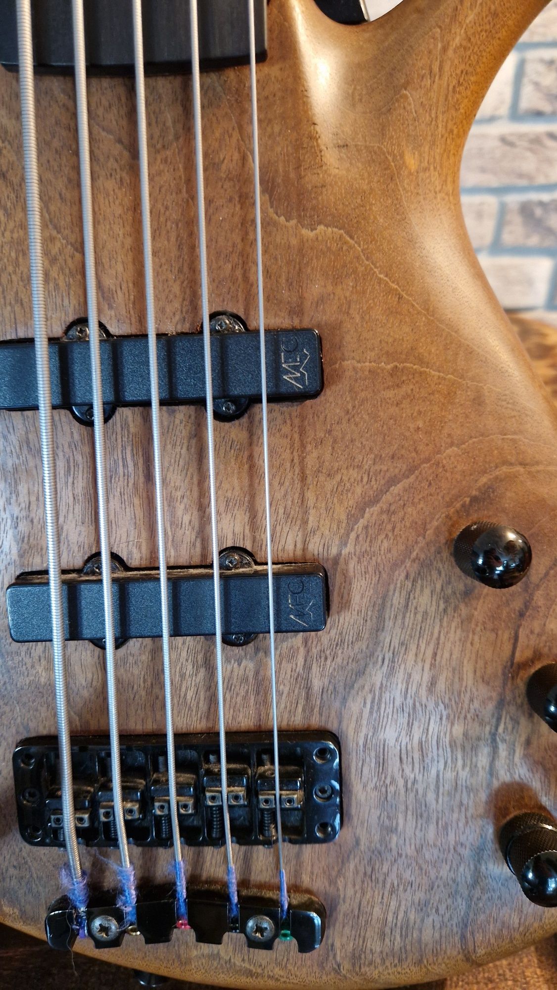 Bas GMR V fretless
