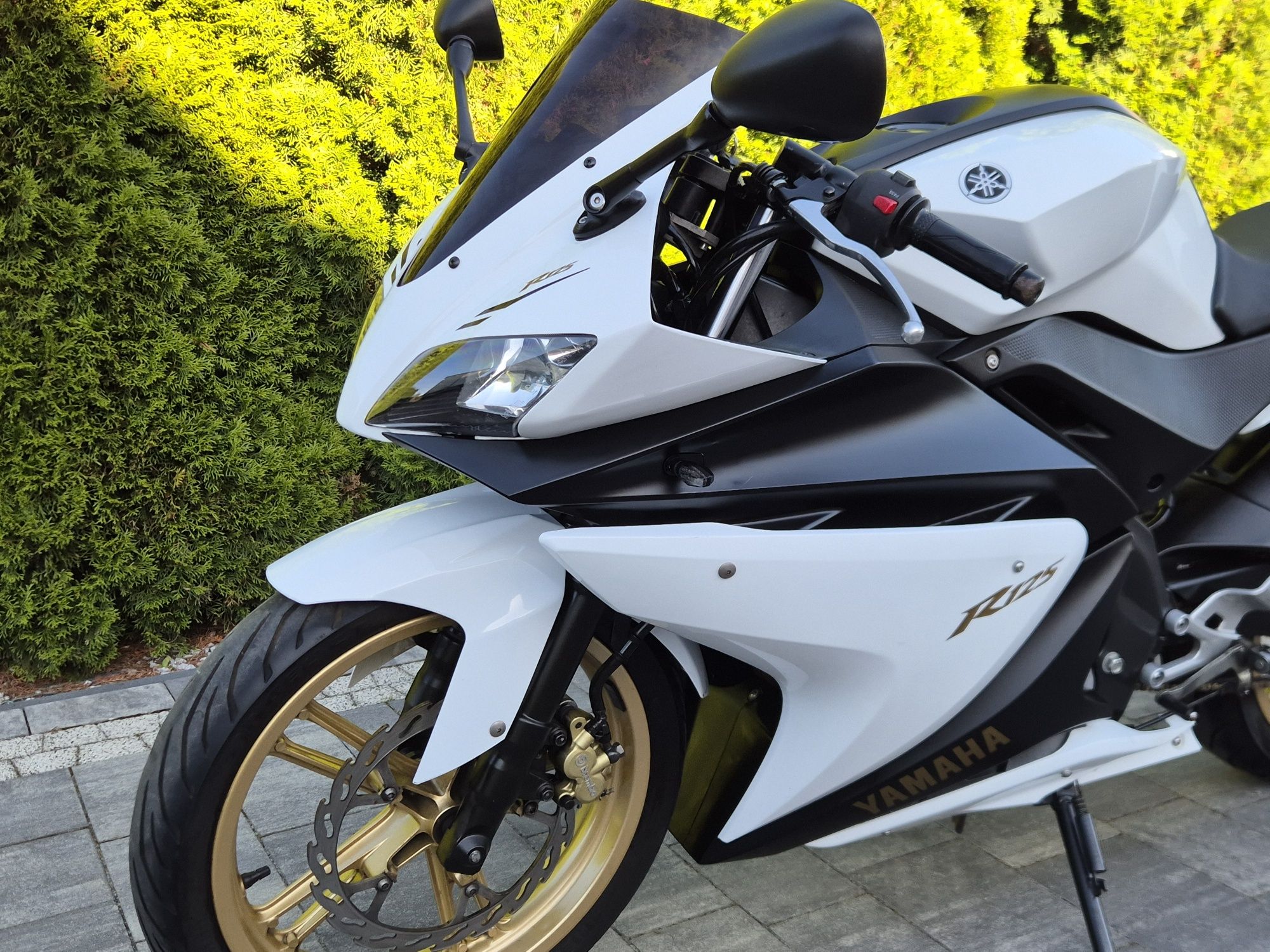 Yamaha YZF R 125 GOLD Leo Vince Mega Zadbana Kat b a1
