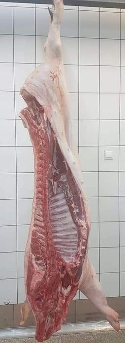 Półtusze wieprzowe od Rolnika z własnego chowu