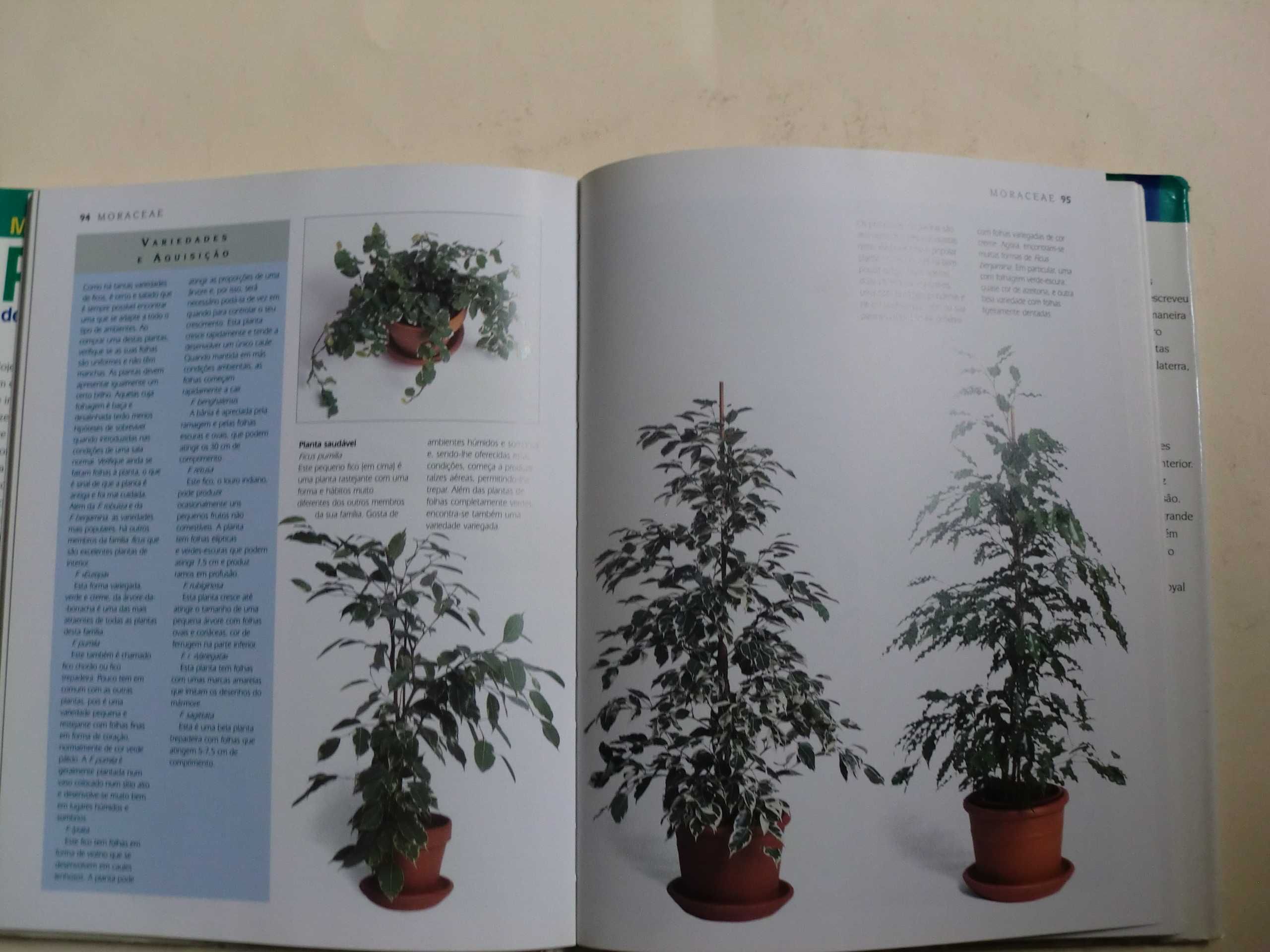 Manual Prático de Plantas de Interior
de Jane Bland e William Davidson