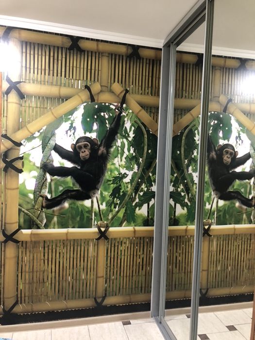 квартира посуточно Заболотного областная больница котовского Семена Па