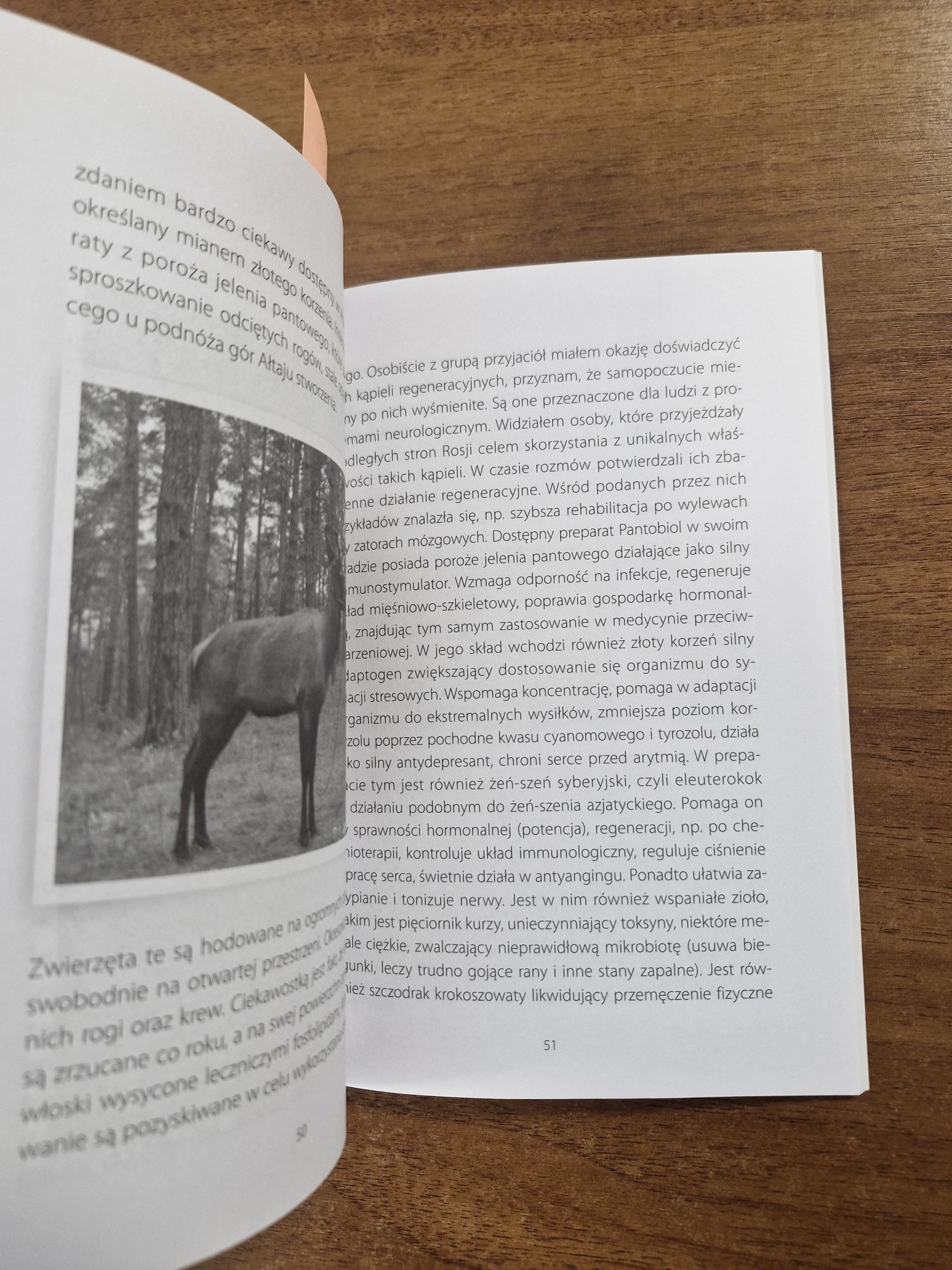 A1034. "Ałtajskie zdrowie" Adam Bielicki