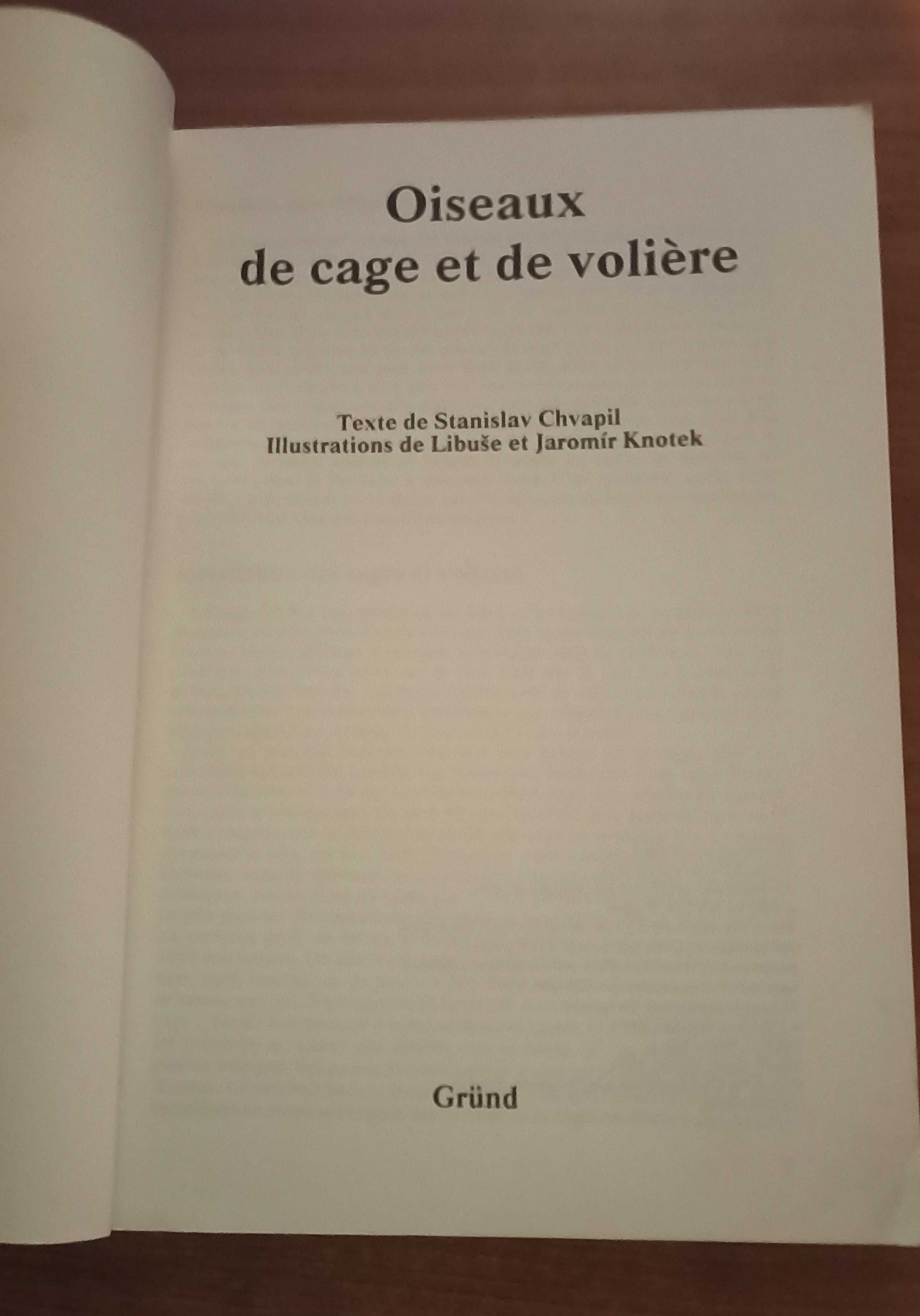 Oiseaux de cage et de volière