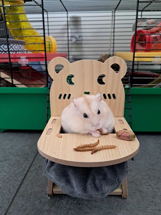 Krzesło z tacką dla chomika