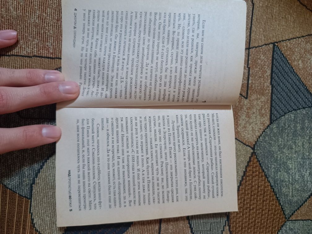 Книга над пропастью во ржи