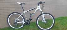 btt bh word champion