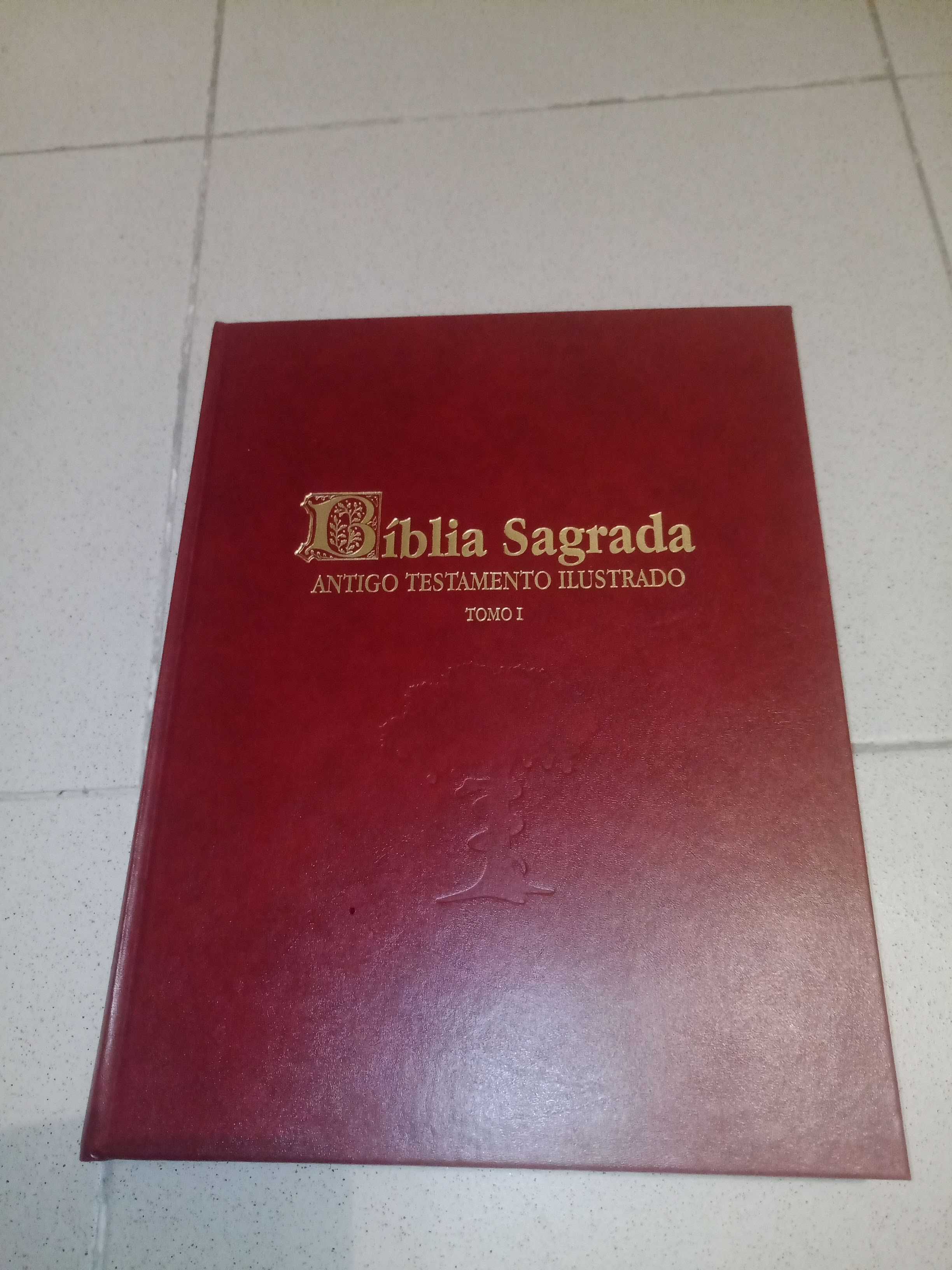 3 Bíblia Sagrada - Oferta