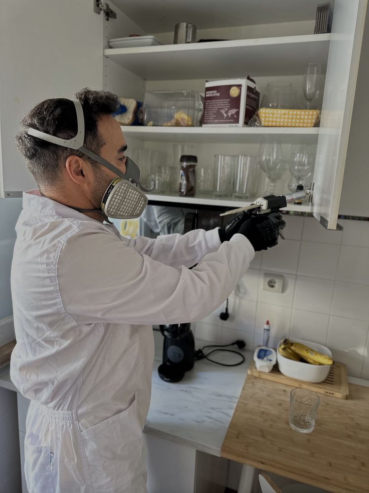 DESINFESTAÇÃO CONTROLO DE PRAGAS PERCEVEJOS BARATAS PULGAS TÉRMITAS