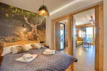 Apartament z jacuzzi na tarasie-Solina-noclegi- centrum-zapora
