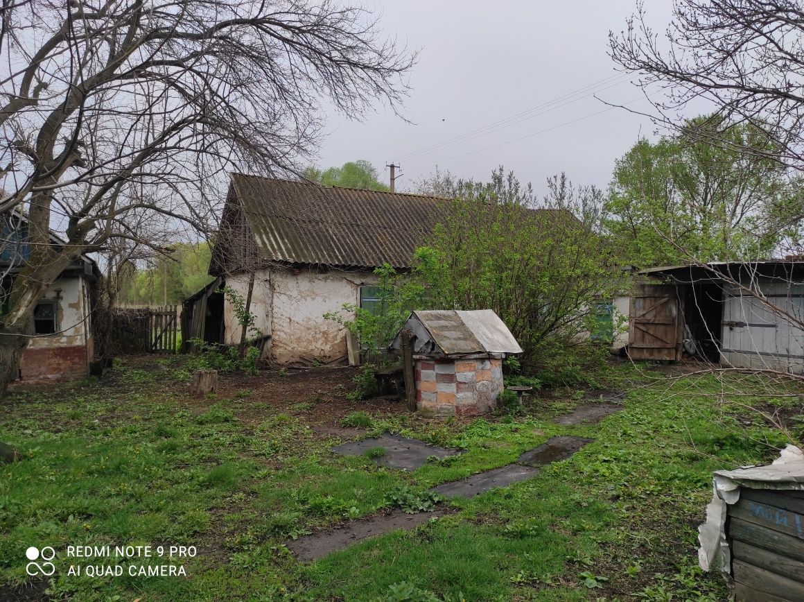 Продаю будинок в Прилуцькому районі село Велика дівиця, Чернігівської