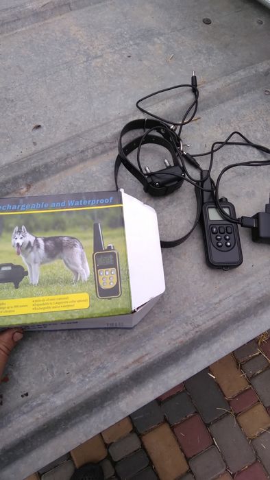 Ошейник дресеровочный для собак