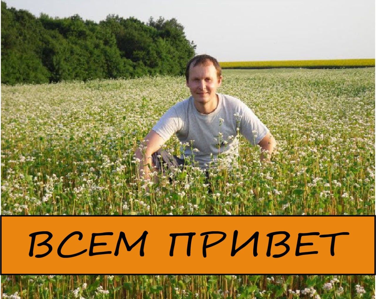 Бджоломатки 2023 української степової породи