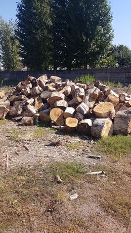 Продам дрова тополя 1200грн м3