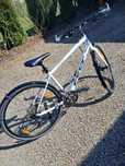 Rower fitnes  Felt Verza