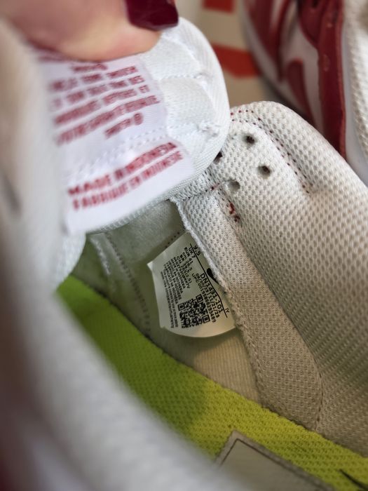 Nike Air Dunk Low Next Nature