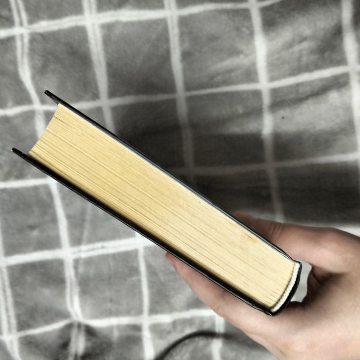 Книга Книга домыслов