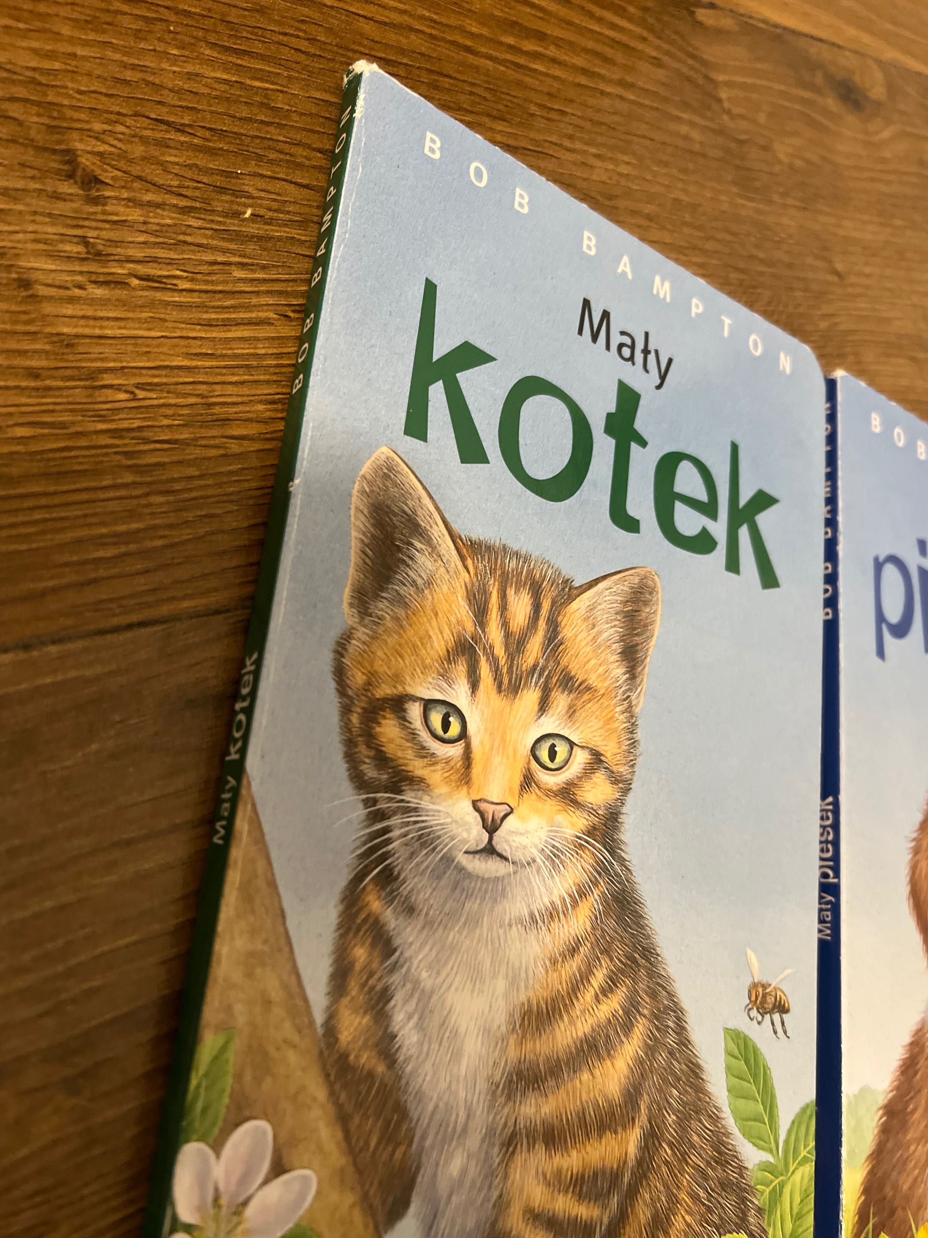 Bob Bampton mały kotek mały piesek