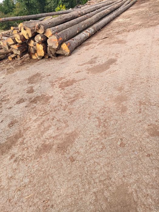 Deski , tartak , więźba dachowa