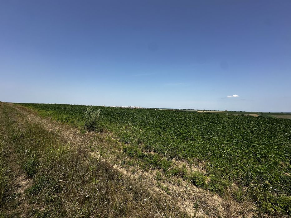 Продаж ділянки. Перша лінія біля басейну Shum