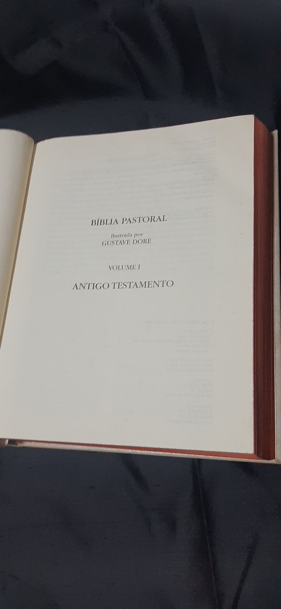 Biblia Pastoral I