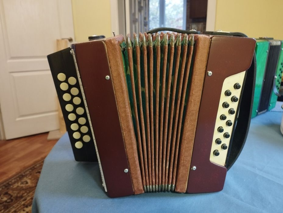 Гармошка Ізяслав