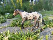 Breyer custom sm