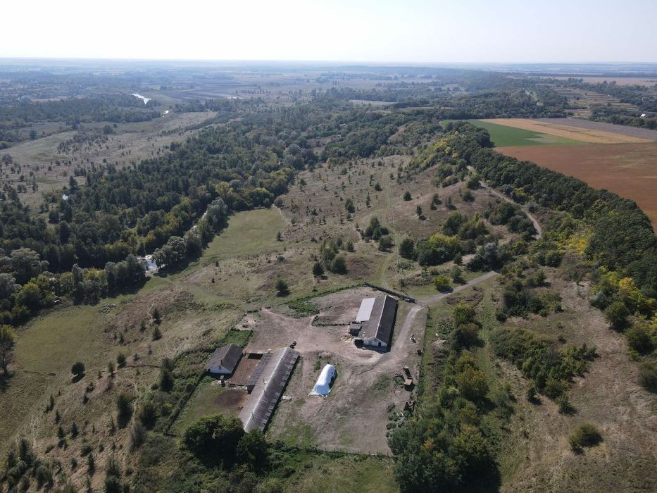 Продам територію ферми з приміщенням для вирощування птиці