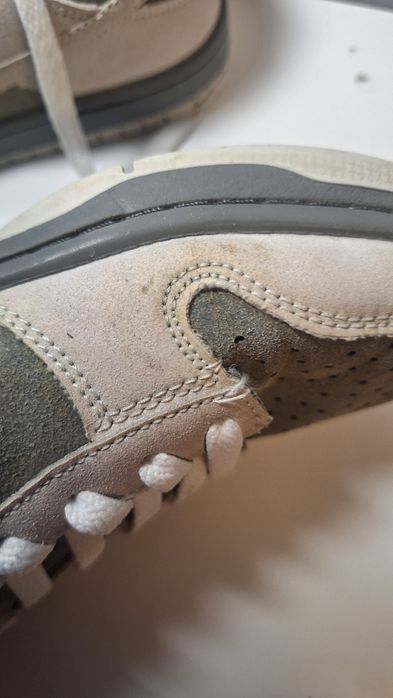 Nike SB Dunk Low Pro