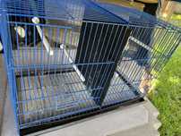 Viveiros aves  criacao