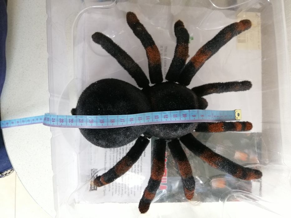 Продам паучка Tarantula